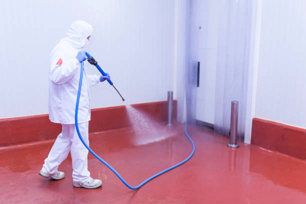 Best Playground Equipment Cleaning  in Wilson, PA